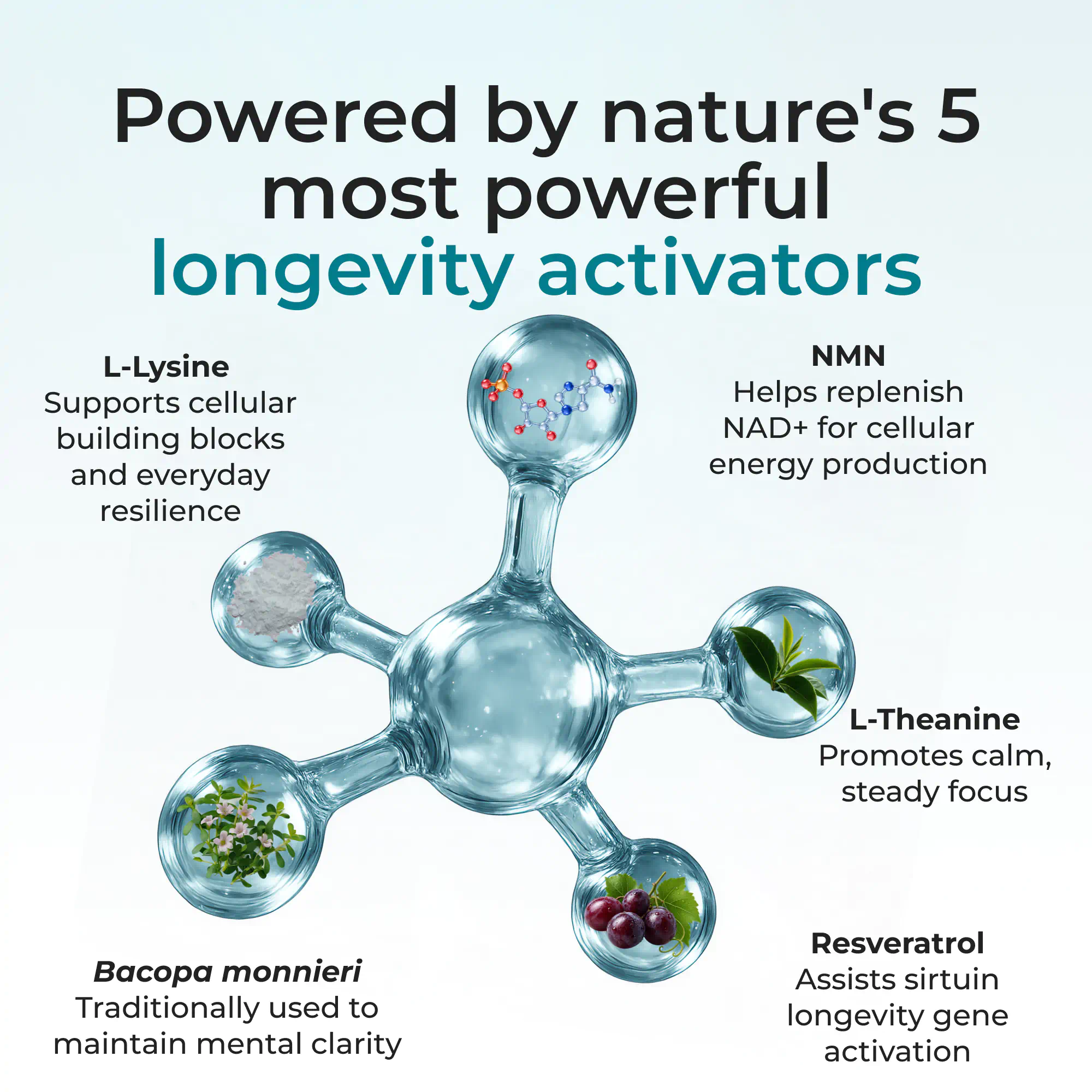 Cellular Longevity Complex