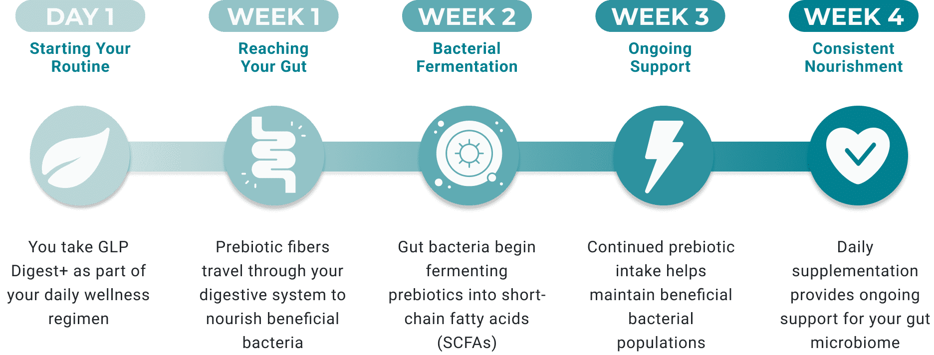 NOTICE THE DIFFERENCE IN YOUR DAILY ROUTINE