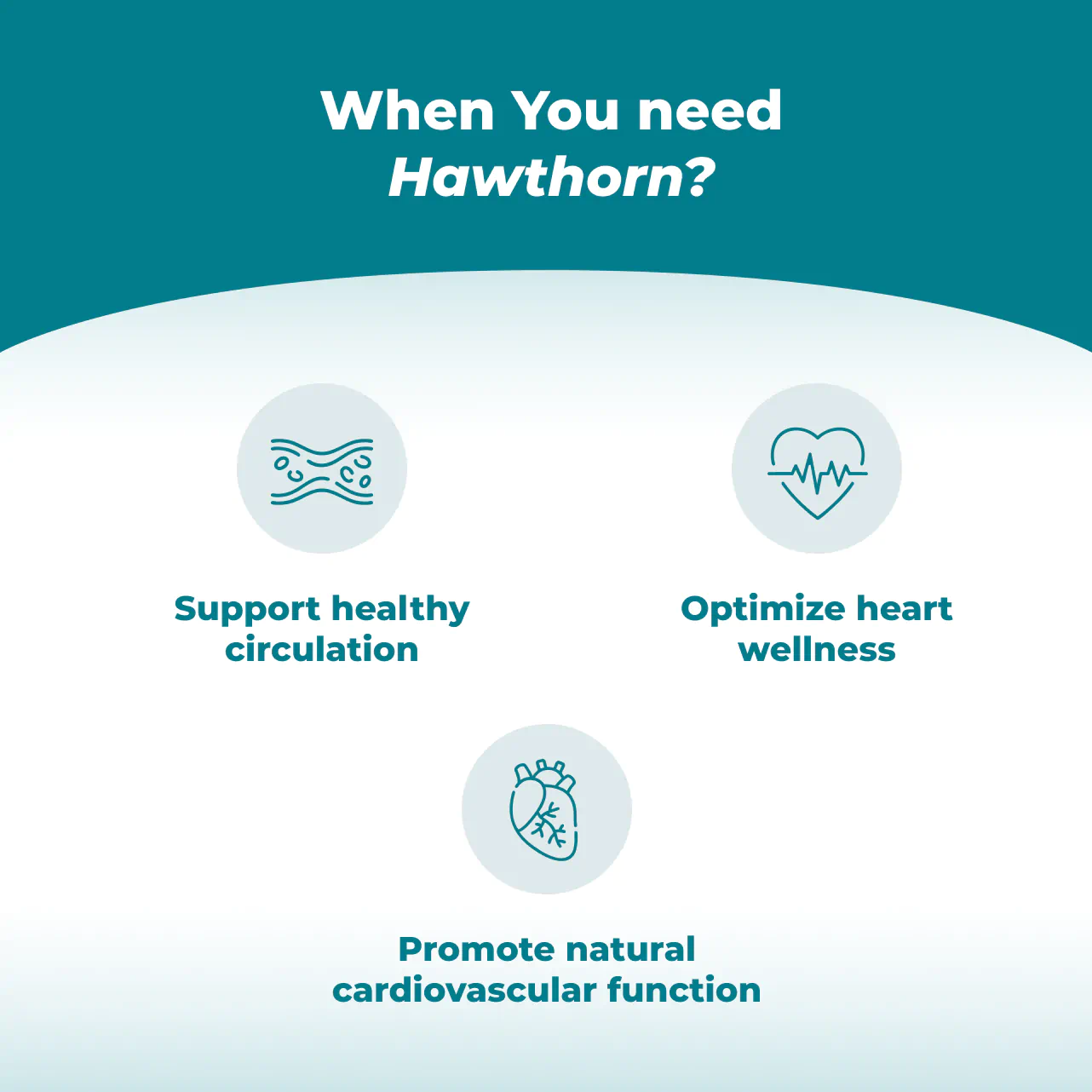 Hawthorn