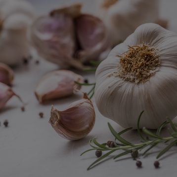 Garlic Bulb