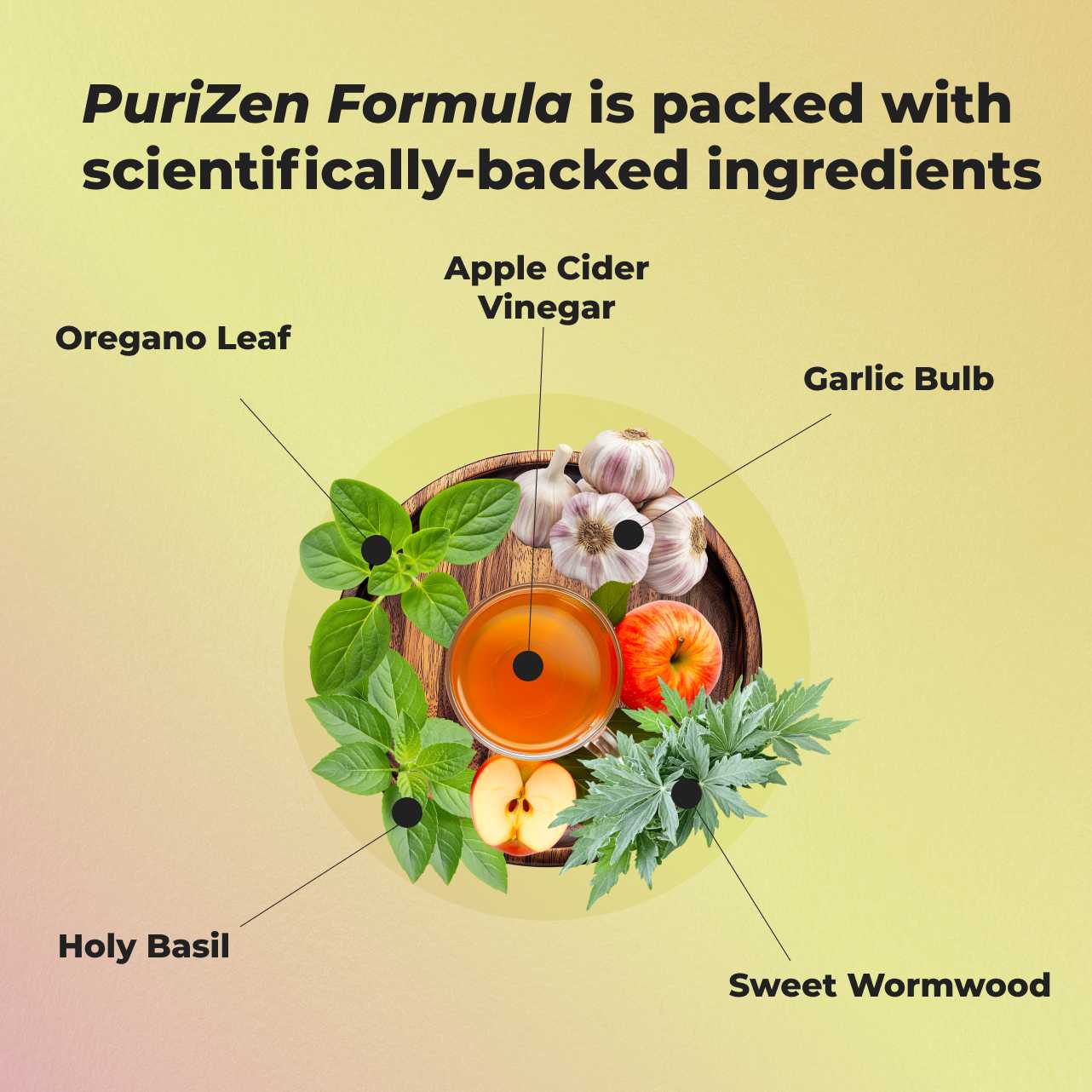PuriZen