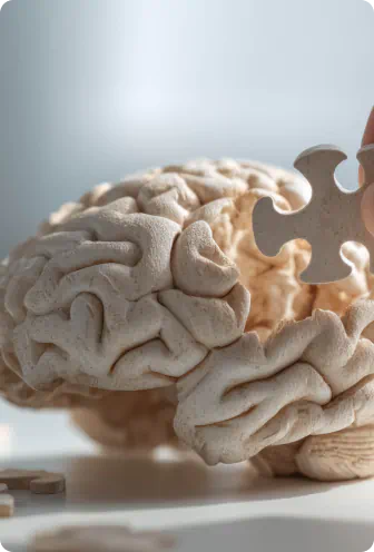 Brain puzzle